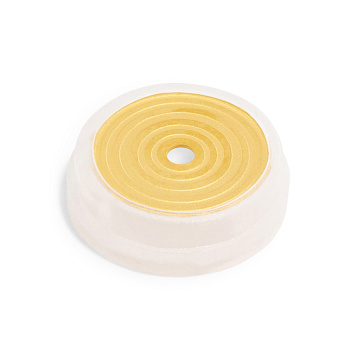 Seal Cap Assembly